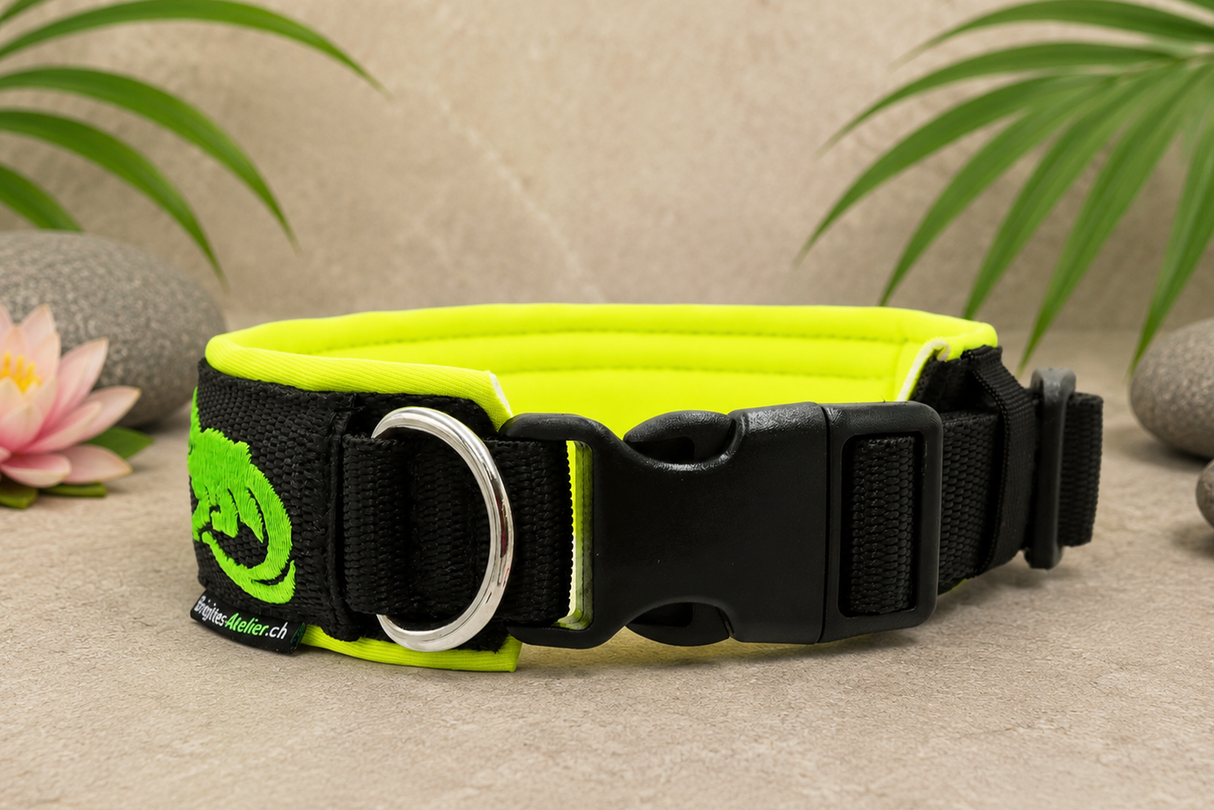 🌿🐊 Halsband „Alligator Bay“– personalisiert & individuell / Preis inkl. Stickerei & Neopren-Polsterung (Basis: 2,5 cm Gurtband / ca. 3,5 cm Gesamtbreite). Weitere Optionen können den Endpreis verändern.