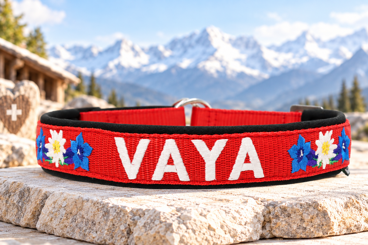 Halsband „Bergzauber“ – personalisiert & individuell / Preis inkl. Stickerei & Neopren-Polsterung (Basis: 2,5 cm Gurtband / ca. 3,5 cm Gesamtbreite). Weitere Optionen können den Endpreis verändern.