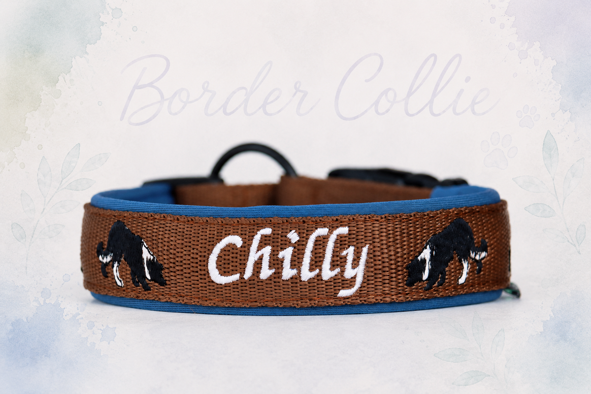 Halsband „Border Collie“ – personalisiert & individuell / Preis inkl. Stickerei & Neopren-Polsterung (Basis: 2,5 cm Gurtband / ca. 3,5 cm Gesamtbreite). Weitere Optionen können den Endpreis verändern.