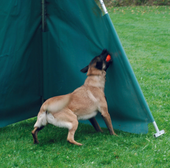 Top-Matic Ball SOFT blau