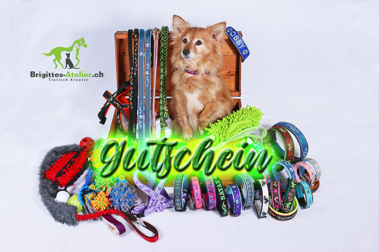 Gutschein / Brigittes-Atelier