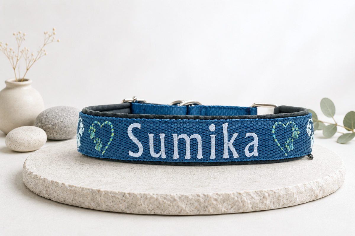 💖🐾 Halsband mit Herz & Pfötli – Liebe auf den ersten Blick! Preis inkl. Stickerei & Neopren-Polsterung (Basis: 2,5 cm Gurtband / ca. 3,5 cm Gesamtbreite). Weitere Optionen können den Endpreis verändern.