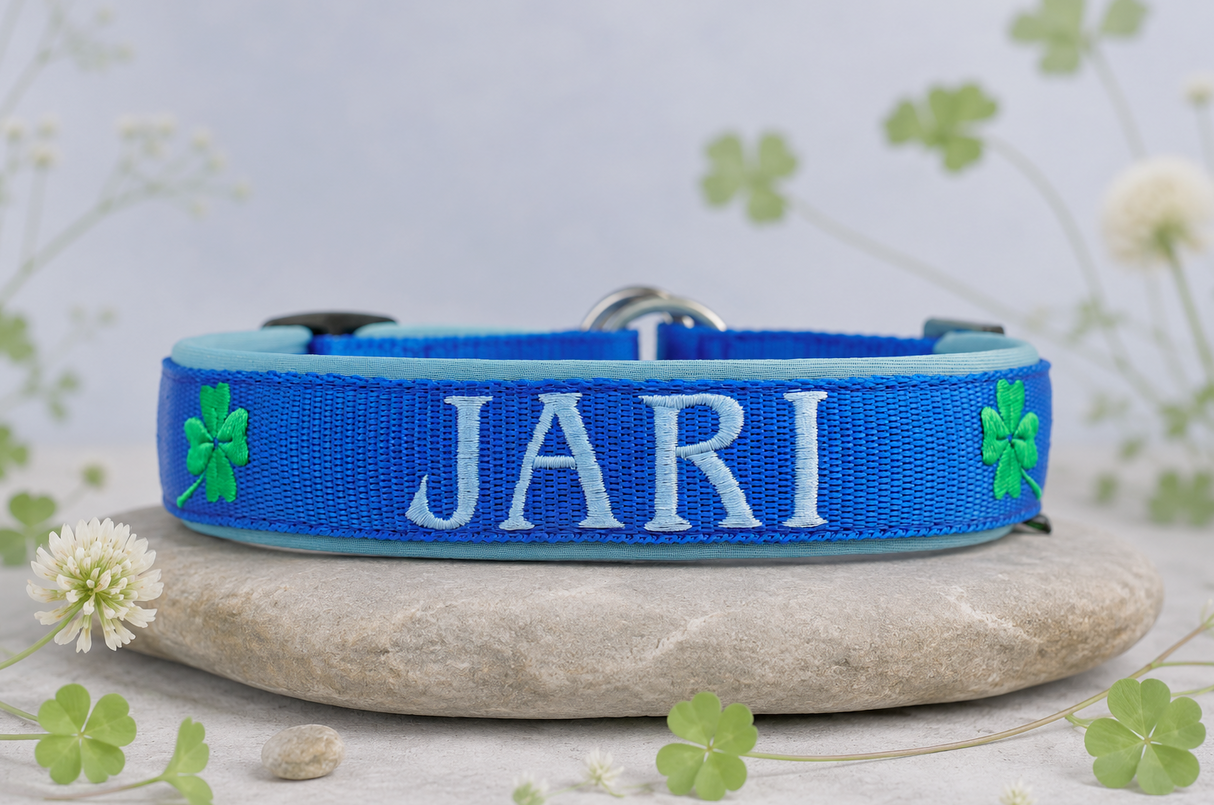 🍀 Halsband „Glücksklee“– personalisiert & individuell / Preis inkl. Stickerei & Neopren-Polsterung (Basis: 2,5 cm Gurtband / ca. 3,5 cm Gesamtbreite). Weitere Optionen können den Endpreis verändern.