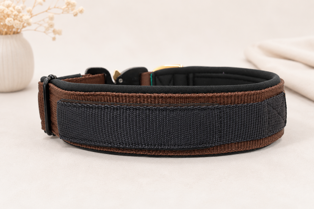 Magnetgriff Halsband „Gold Edition“ – personalisiert & individuell / Preis inkl. Stickerei & Neopren-Polsterung (Basis: 2,5 cm Gurtband / ca. 3,5 cm Gesamtbreite). Weitere Optionen können den Endpreis verändern.
