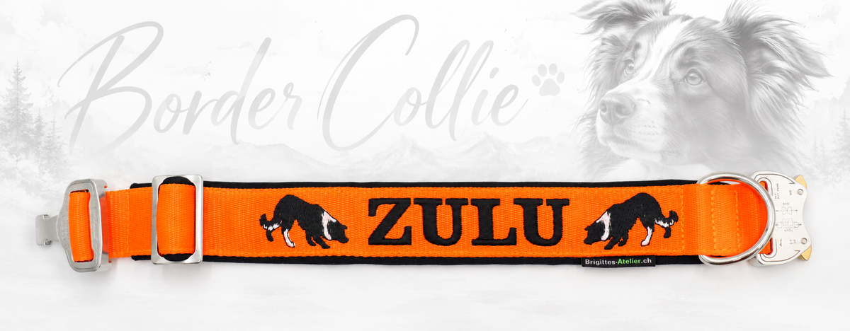 Halsband „Border Collie“ – personalisiert & individuell / Preis inkl. Stickerei & Neopren-Polsterung (Basis: 2,5 cm Gurtband / ca. 3,5 cm Gesamtbreite). Weitere Optionen können den Endpreis verändern.