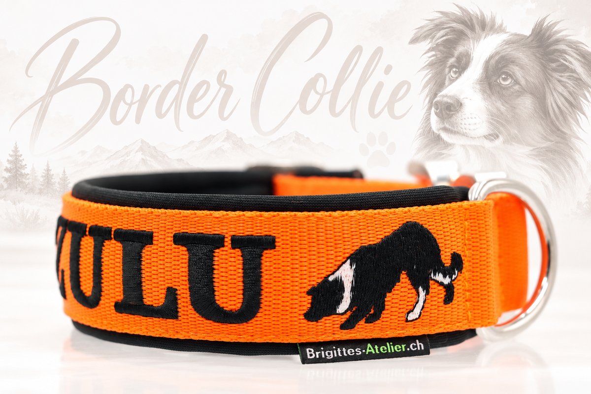 Halsband „Border Collie“ – personalisiert & individuell / Preis inkl. Stickerei & Neopren-Polsterung (Basis: 2,5 cm Gurtband / ca. 3,5 cm Gesamtbreite). Weitere Optionen können den Endpreis verändern.