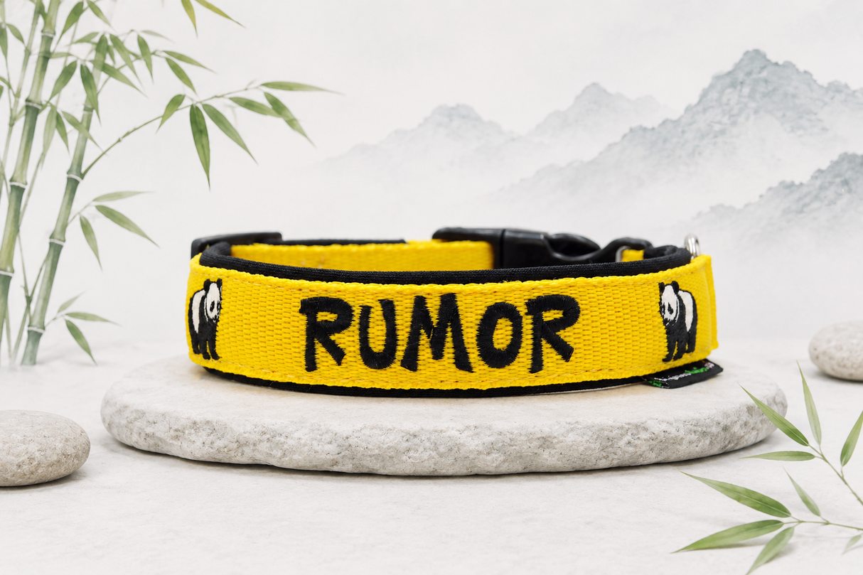 đŒ Halsband 'kleiner Panda' â personalisiert & individuell / Preis inkl. Stickerei & Neopren-Polsterung (Basis: 2,5 cm Gurtband / ca. 3,5 cm Gesamtbreite). Weitere Optionen können den Endpreis verĂ€ndern.