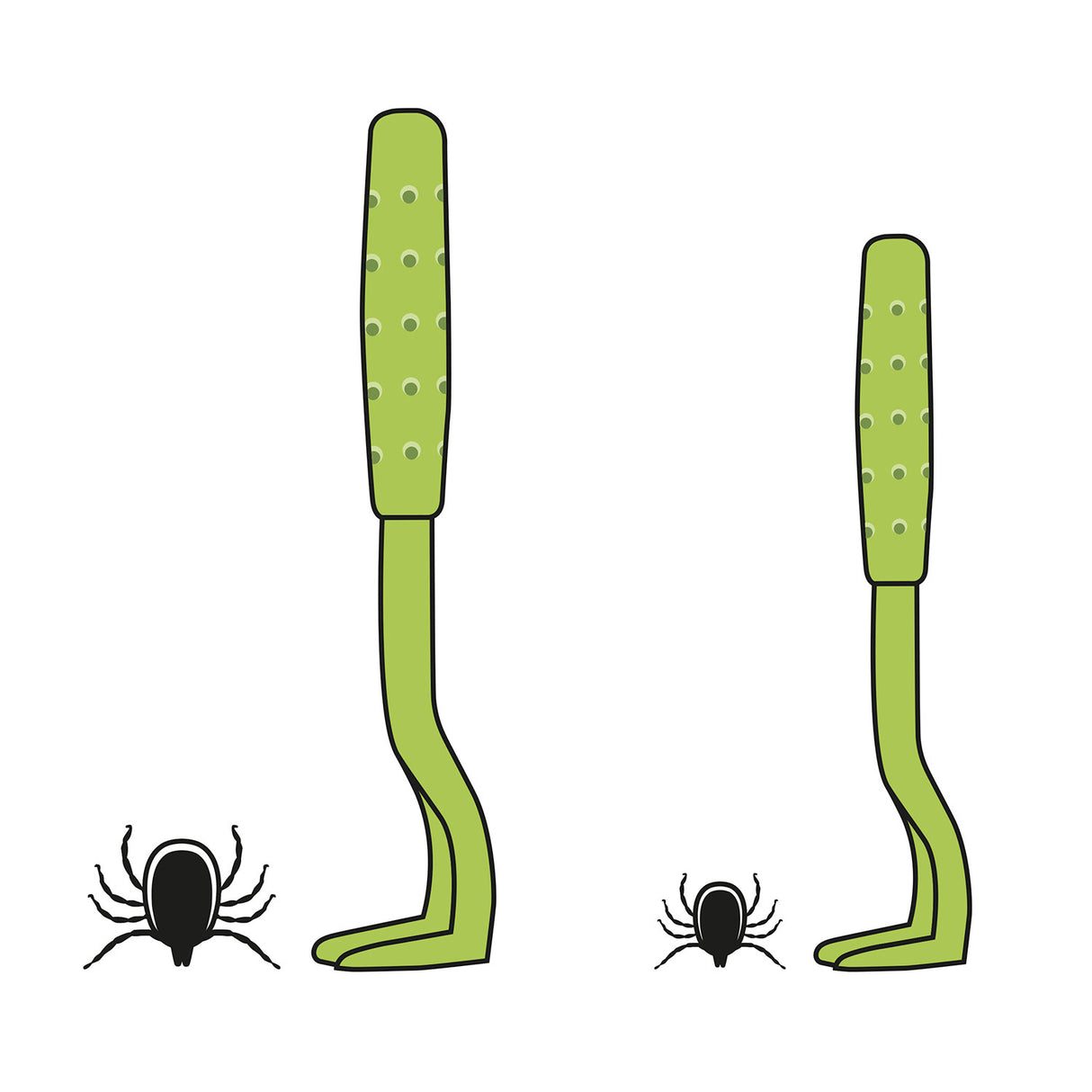 Zeckenhaken von O'Tom