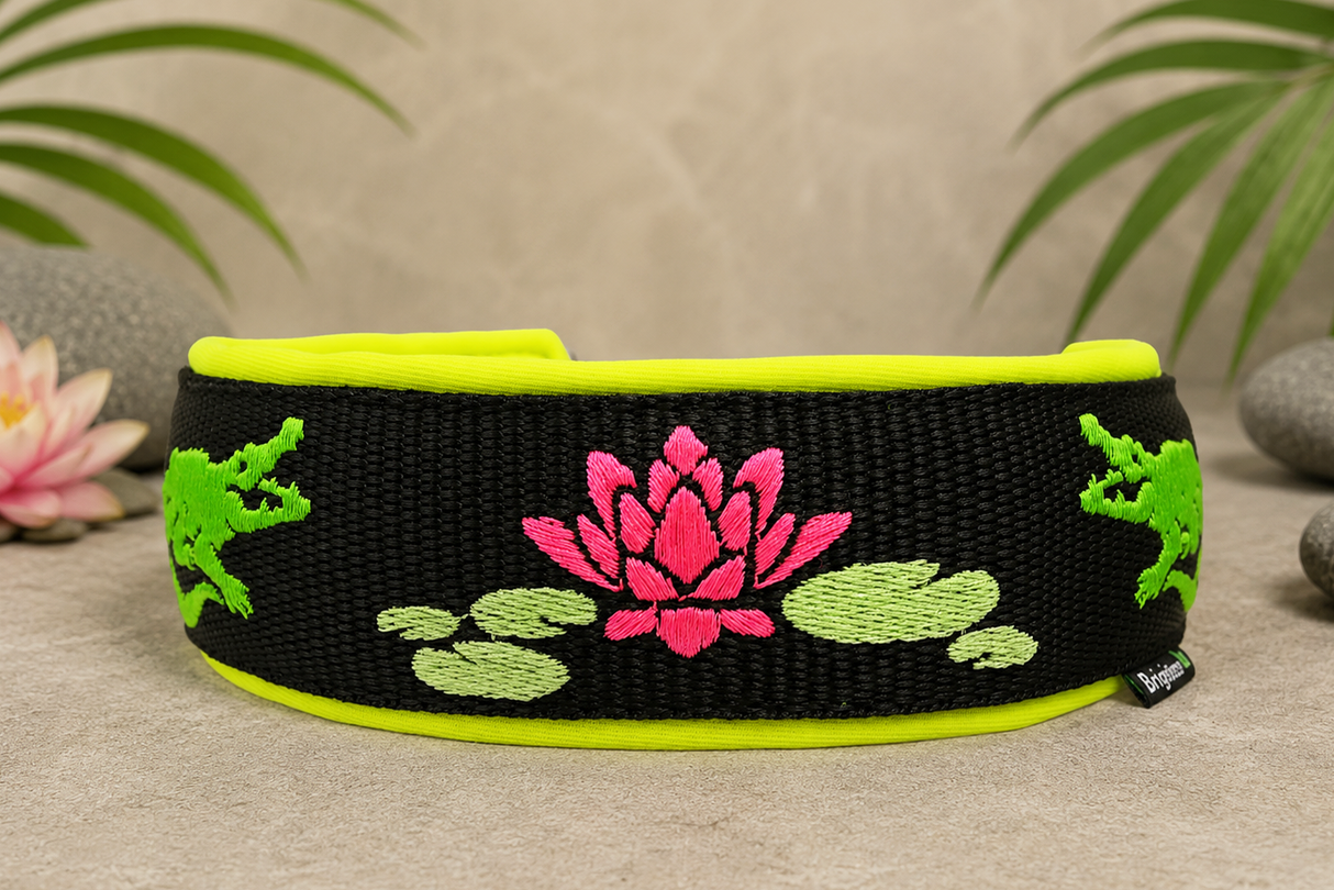 🌿🐊 Halsband „Alligator Bay“– personalisiert & individuell / Preis inkl. Stickerei & Neopren-Polsterung (Basis: 2,5 cm Gurtband / ca. 3,5 cm Gesamtbreite). Weitere Optionen können den Endpreis verändern.