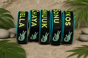 🌿🐊 Halsband „Sumpfzauber“ – personalisiert & individuell / Preis inkl. Stickerei & Neopren-Polsterung (Basis: 2,5 cm Gurtband / ca. 3,5 cm Gesamtbreite). Weitere Optionen können den Endpreis verändern.