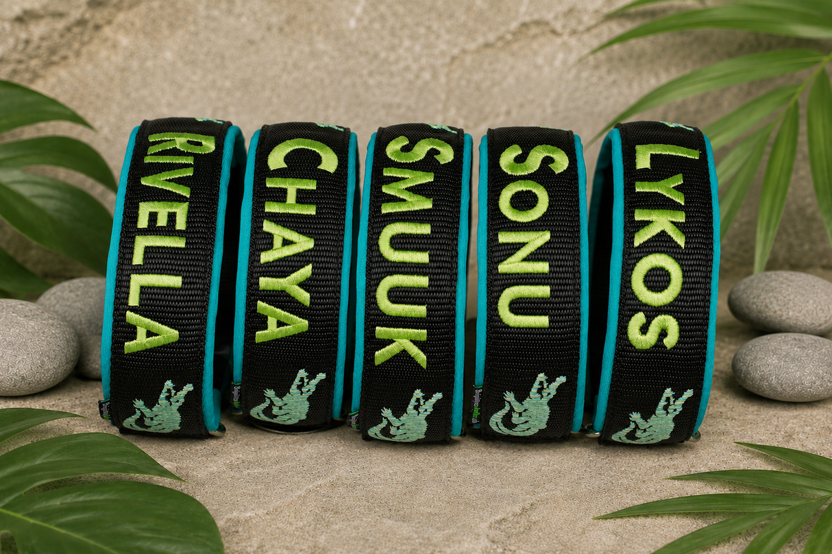 🌿🐊 Halsband „Sumpfzauber“ – personalisiert & individuell / Preis inkl. Stickerei & Neopren-Polsterung (Basis: 2,5 cm Gurtband / ca. 3,5 cm Gesamtbreite). Weitere Optionen können den Endpreis verändern.