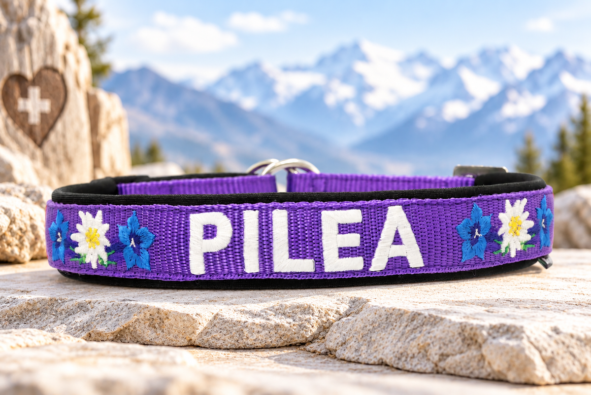 Halsband „Bergzauber“ – personalisiert & individuell / Preis inkl. Stickerei & Neopren-Polsterung (Basis: 2,5 cm Gurtband / ca. 3,5 cm Gesamtbreite). Weitere Optionen können den Endpreis verändern.