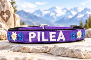 Halsband „Bergzauber“ – personalisiert & individuell / Preis inkl. Stickerei & Neopren-Polsterung (Basis: 2,5 cm Gurtband / ca. 3,5 cm Gesamtbreite). Weitere Optionen können den Endpreis verändern.