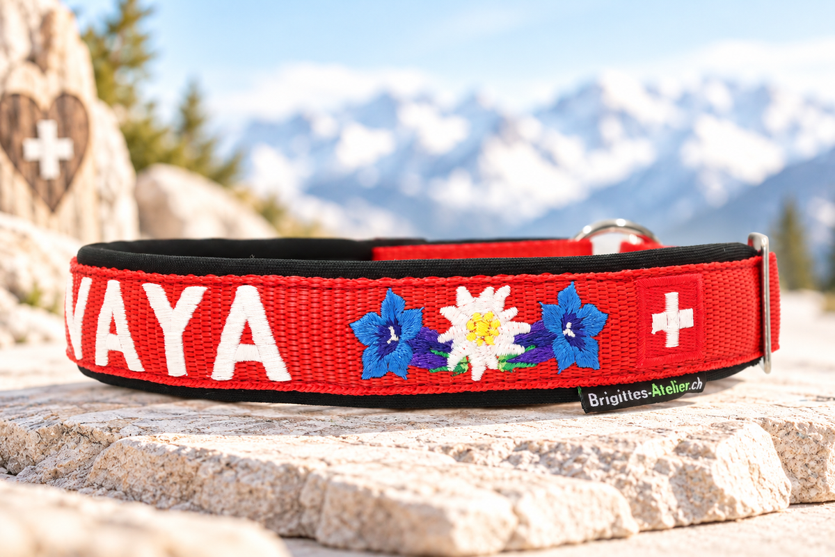 Halsband „Bergzauber“ – personalisiert & individuell / Preis inkl. Stickerei & Neopren-Polsterung (Basis: 2,5 cm Gurtband / ca. 3,5 cm Gesamtbreite). Weitere Optionen können den Endpreis verändern.
