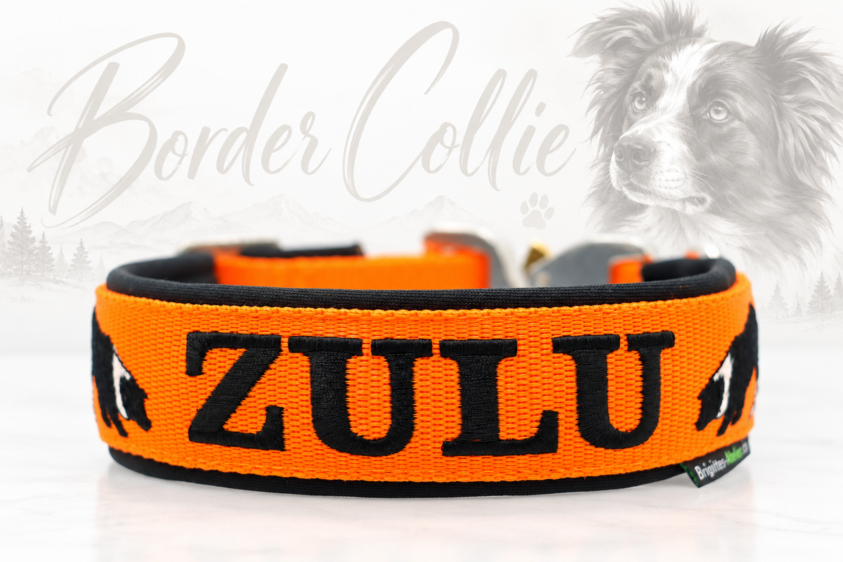 Halsband „Border Collie“ – personalisiert & individuell / Preis inkl. Stickerei & Neopren-Polsterung (Basis: 2,5 cm Gurtband / ca. 3,5 cm Gesamtbreite). Weitere Optionen können den Endpreis verändern.