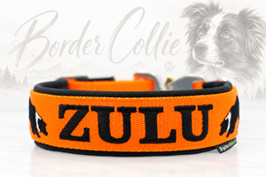 Halsband „Border Collie“ – personalisiert & individuell / Preis inkl. Stickerei & Neopren-Polsterung (Basis: 2,5 cm Gurtband / ca. 3,5 cm Gesamtbreite). Weitere Optionen können den Endpreis verändern.