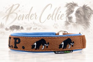 Halsband „Border Collie“ – personalisiert & individuell / Preis inkl. Stickerei & Neopren-Polsterung (Basis: 2,5 cm Gurtband / ca. 3,5 cm Gesamtbreite). Weitere Optionen können den Endpreis verändern.