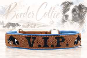 Halsband „Border Collie“ – personalisiert & individuell / Preis inkl. Stickerei & Neopren-Polsterung (Basis: 2,5 cm Gurtband / ca. 3,5 cm Gesamtbreite). Weitere Optionen können den Endpreis verändern.