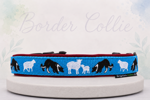 Halsband „Border Collie – Working Dogs“ Klick / Sofortkauf / Innenumfang ca. 36-40 cm