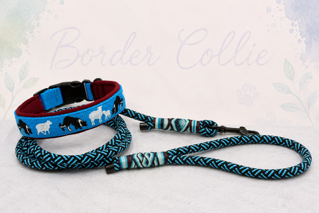Halsband „Border Collie – Working Dogs“ Klick / Sofortkauf / Innenumfang ca. 36-40 cm