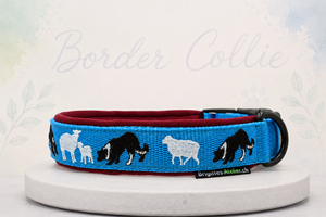 Halsband „Border Collie – Working Dogs“ Klick / Sofortkauf / Innenumfang ca. 36-40 cm