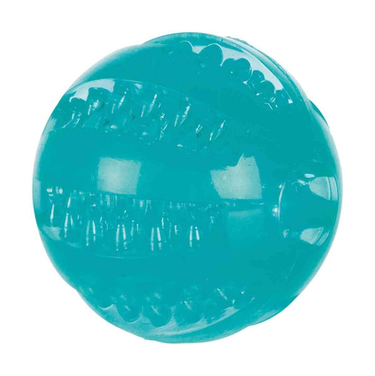 Trixie Denta Fun