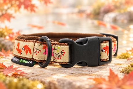 Halsband „Autumn Koi“ Klick / Sofortkauf / Innenumfang ca. 23.5 - 27 cm
