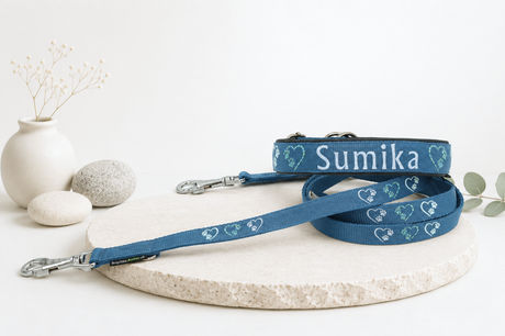 💖🐾 Halsband mit Herz & Pfötli – Liebe auf den ersten Blick!   Preis inkl. Stickerei & Neopren-Polsterung (Basis: 2,5 cm Gurtband / ca. 3,5 cm Gesamtbreite). Weitere Optionen können den Endpreis verändern.