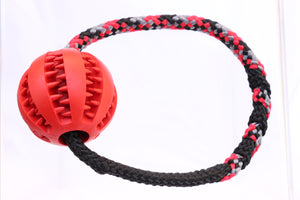 Pawise Dura-Rubber Ball Rot 7.5 cm mit Seil