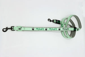 🐼 Halsband 'Bambuszauber' – personalisiert & individuell / Preis inkl. Stickerei & Neopren-Polsterung (Basis: 2,5 cm Gurtband / ca. 3,5 cm Gesamtbreite). Weitere Optionen können den Endpreis verändern.