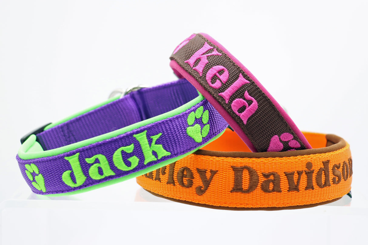 mit je 2 Pfoten auf jeder Seite