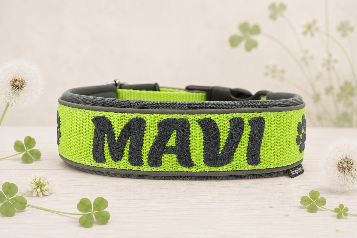 🍀 Halsband „Glücksklee“– personalisiert & individuell / Preis inkl. Stickerei & Neopren-Polsterung (Basis: 2,5 cm Gurtband / ca. 3,5 cm Gesamtbreite). Weitere Optionen können den Endpreis verändern.