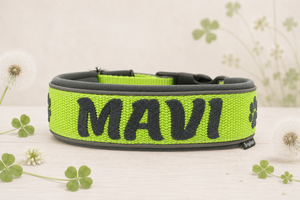 🍀 Halsband „Glücksklee“– personalisiert & individuell / Preis inkl. Stickerei & Neopren-Polsterung (Basis: 2,5 cm Gurtband / ca. 3,5 cm Gesamtbreite). Weitere Optionen können den Endpreis verändern.