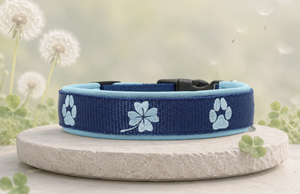 🍀 Halsband „GlücksPfote“ Preis inkl. Stickerei & Neopren-Polsterung (Basis: 2,5 cm Gurtband / ca. 3,5 cm Gesamtbreite). Weitere Optionen können den Endpreis verändern.