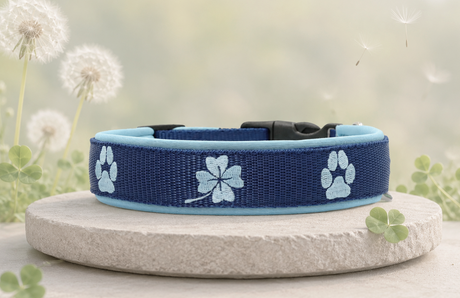 🍀 Halsband „GlücksPfote“ Preis inkl. Stickerei & Neopren-Polsterung (Basis: 2,5 cm Gurtband / ca. 3,5 cm Gesamtbreite). Weitere Optionen können den Endpreis verändern.