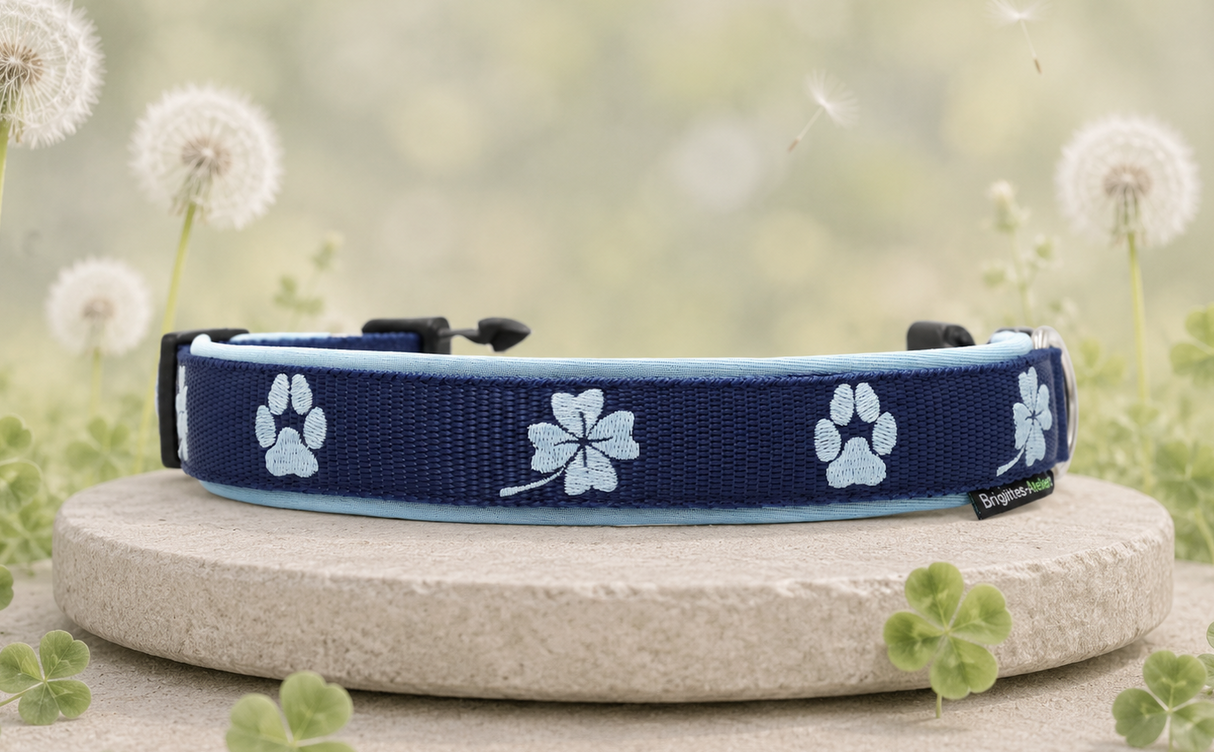 🍀 Halsband „GlücksPfote“ Preis inkl. Stickerei & Neopren-Polsterung (Basis: 2,5 cm Gurtband / ca. 3,5 cm Gesamtbreite). Weitere Optionen können den Endpreis verändern.