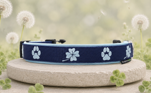 🍀 Halsband „GlücksPfote“ Preis inkl. Stickerei & Neopren-Polsterung (Basis: 2,5 cm Gurtband / ca. 3,5 cm Gesamtbreite). Weitere Optionen können den Endpreis verändern.