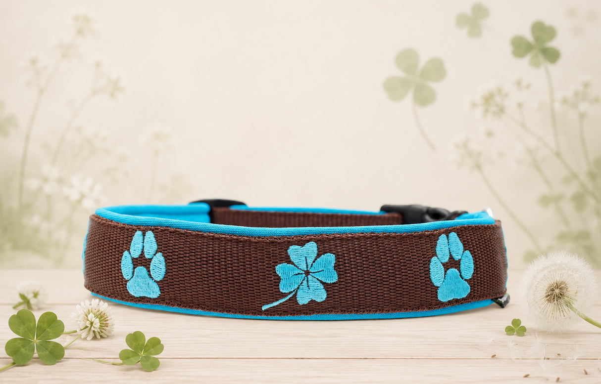 🍀 Halsband „GlücksPfote“ Preis inkl. Stickerei & Neopren-Polsterung (Basis: 2,5 cm Gurtband / ca. 3,5 cm Gesamtbreite). Weitere Optionen können den Endpreis verändern.