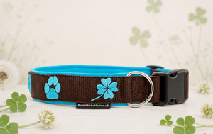 🍀 Halsband „GlücksPfote“ Preis inkl. Stickerei & Neopren-Polsterung (Basis: 2,5 cm Gurtband / ca. 3,5 cm Gesamtbreite). Weitere Optionen können den Endpreis verändern.