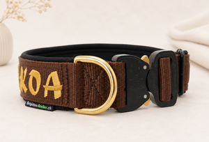 Magnetgriff Halsband „Gold Edition“ – personalisiert & individuell / Preis inkl. Stickerei & Neopren-Polsterung (Basis: 2,5 cm Gurtband / ca. 3,5 cm Gesamtbreite). Weitere Optionen können den Endpreis verändern.