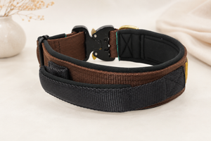 Magnetgriff Halsband „Gold Edition“ – personalisiert & individuell / Preis inkl. Stickerei & Neopren-Polsterung (Basis: 2,5 cm Gurtband / ca. 3,5 cm Gesamtbreite). Weitere Optionen können den Endpreis verändern.