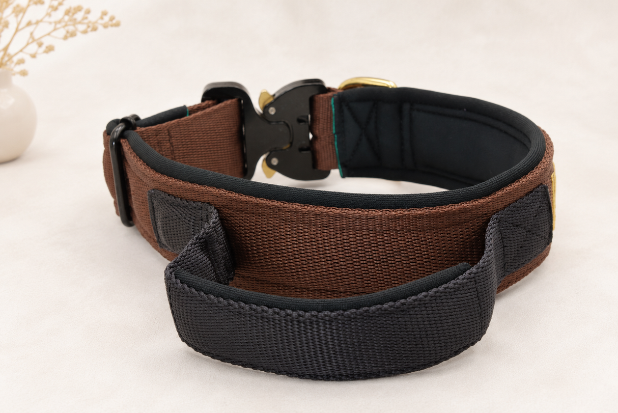 Magnetgriff Halsband „Gold Edition“ – personalisiert & individuell / Preis inkl. Stickerei & Neopren-Polsterung (Basis: 2,5 cm Gurtband / ca. 3,5 cm Gesamtbreite). Weitere Optionen können den Endpreis verändern.