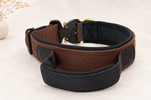 Magnetgriff Halsband „Gold Edition“ – personalisiert & individuell / Preis inkl. Stickerei & Neopren-Polsterung (Basis: 2,5 cm Gurtband / ca. 3,5 cm Gesamtbreite). Weitere Optionen können den Endpreis verändern.