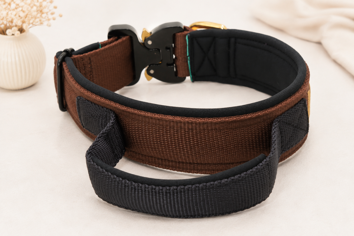 Magnetgriff Halsband „Gold Edition“ – personalisiert & individuell / Preis inkl. Stickerei & Neopren-Polsterung (Basis: 2,5 cm Gurtband / ca. 3,5 cm Gesamtbreite). Weitere Optionen können den Endpreis verändern.