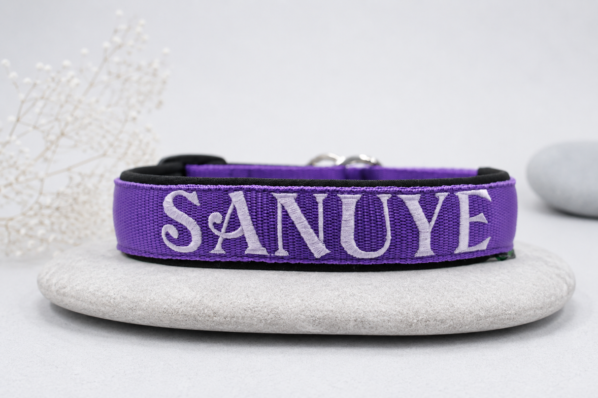 Namenshalsband – personalisiert & individuell / Preis inkl. Stickerei & Neopren-Polsterung (Basis: 2,5 cm Gurtband / ca. 3,5 cm Gesamtbreite). Weitere Optionen können den Endpreis verändern.