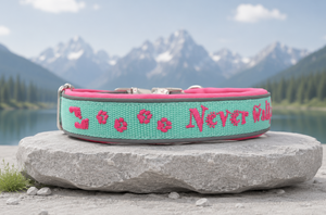 Halsband 'Bergpfoten' gemeinsam unterwegspersonalisiert & individuell / Preis inkl. Stickerei & Neopren-Polsterung (Basis: 2,5 cm Gurtband / ca. 3,5 cm Gesamtbreite). Weitere Optionen können den Endpreis verändern.