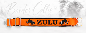 Halsband „Border Collie“ – personalisiert & individuell / Preis inkl. Stickerei & Neopren-Polsterung (Basis: 2,5 cm Gurtband / ca. 3,5 cm Gesamtbreite). Weitere Optionen können den Endpreis verändern.