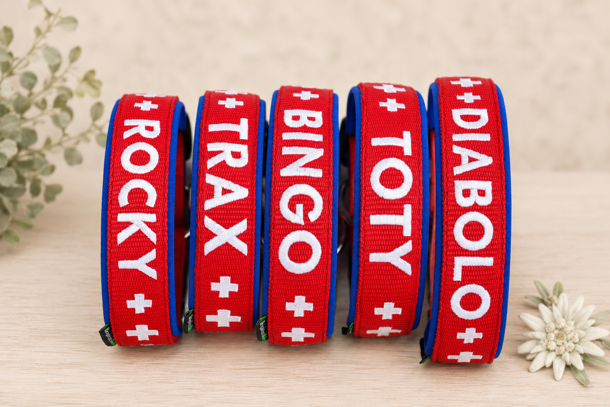 Halsband „Heimatgfühl“ – personalisiert & individuell / Preis inkl. Stickerei & Neopren-Polsterung (Basis: 2,5 cm Gurtband / ca. 3,5 cm Gesamtbreite). Weitere Optionen können den Endpreis verändern. (Kopie) (Kopie)