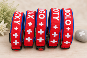 Halsband „Heimatgfühl“ – personalisiert & individuell / Preis inkl. Stickerei & Neopren-Polsterung (Basis: 2,5 cm Gurtband / ca. 3,5 cm Gesamtbreite). Weitere Optionen können den Endpreis verändern. (Kopie) (Kopie)