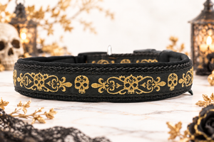 Halsband „Golden Rebel“  Zugentlastung/ Sofortkauf / Innenumfang ca. 32-37 cm